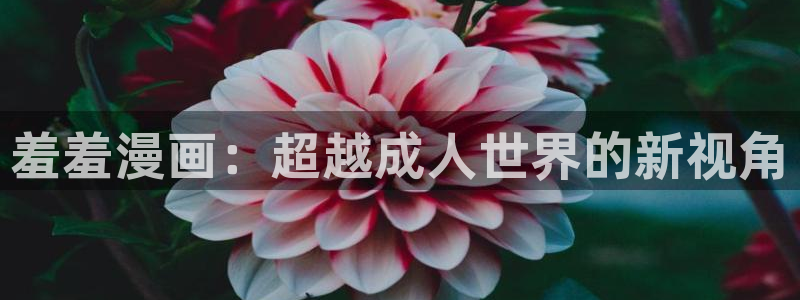 lovestage漫画免费阅读