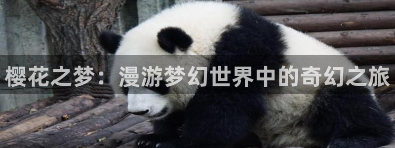 新新漫画网官网入口