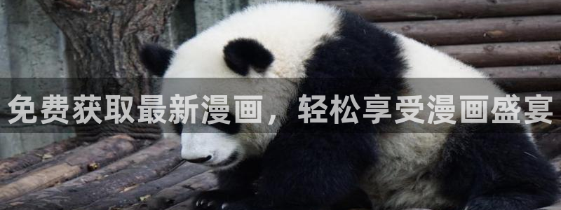 新新漫画下载动漫全免费