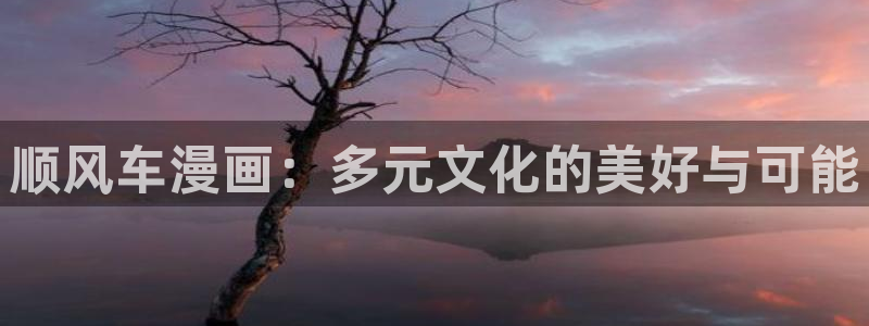 拷贝漫画 copymanager.ory网站