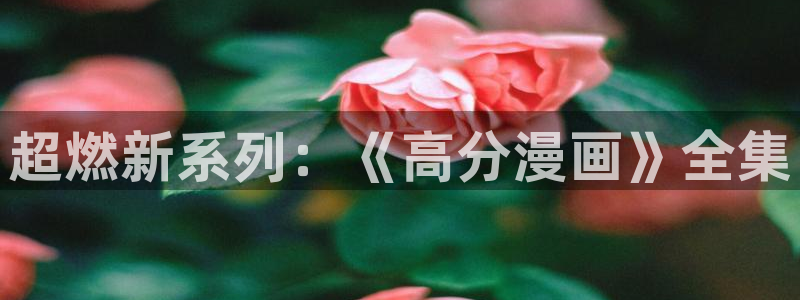 新新漫画网