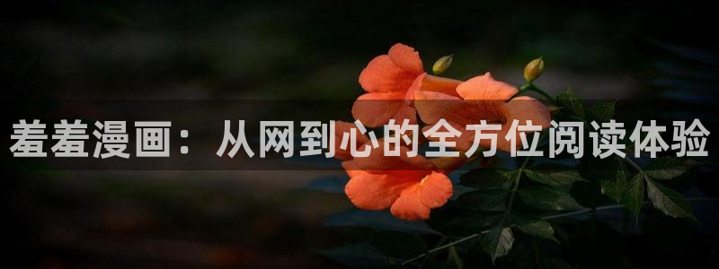 下载新新漫画