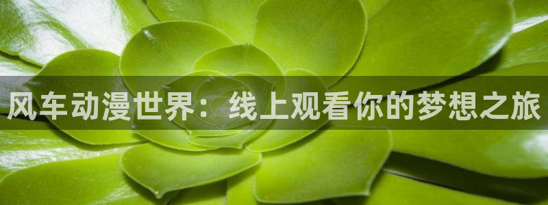 新新漫画网下载