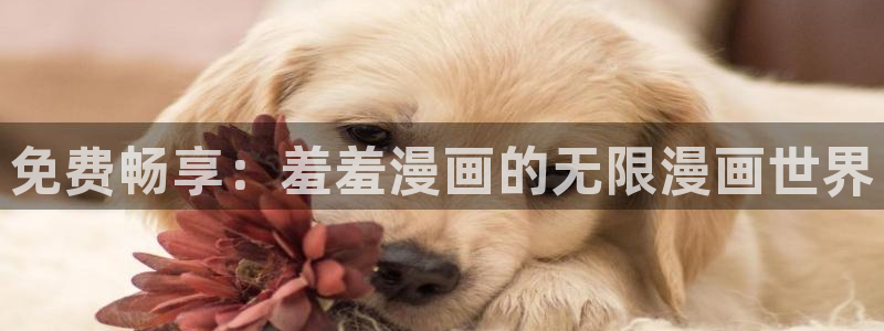 新新漫画官网在线入口