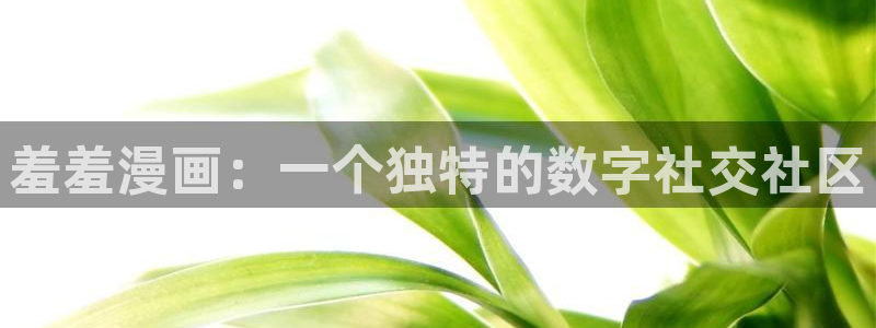 新新漫画下载网：羞羞漫画：一个独特的数字社交社区
