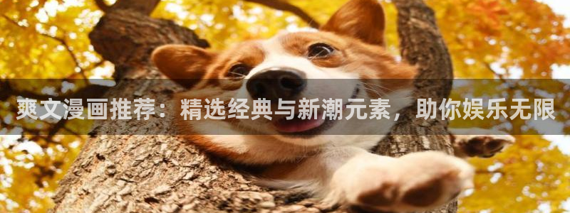 新新漫画网下载：爽文漫画推荐：精选经典与新潮元素，助你娱乐无限