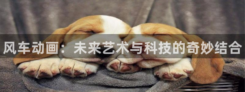 kakaopage韩漫官网：风车动画：未来艺术与科技的奇妙结合