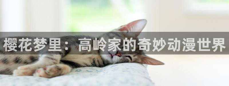新新漫画官网网址：樱花梦里：高岭家的奇妙动漫世界